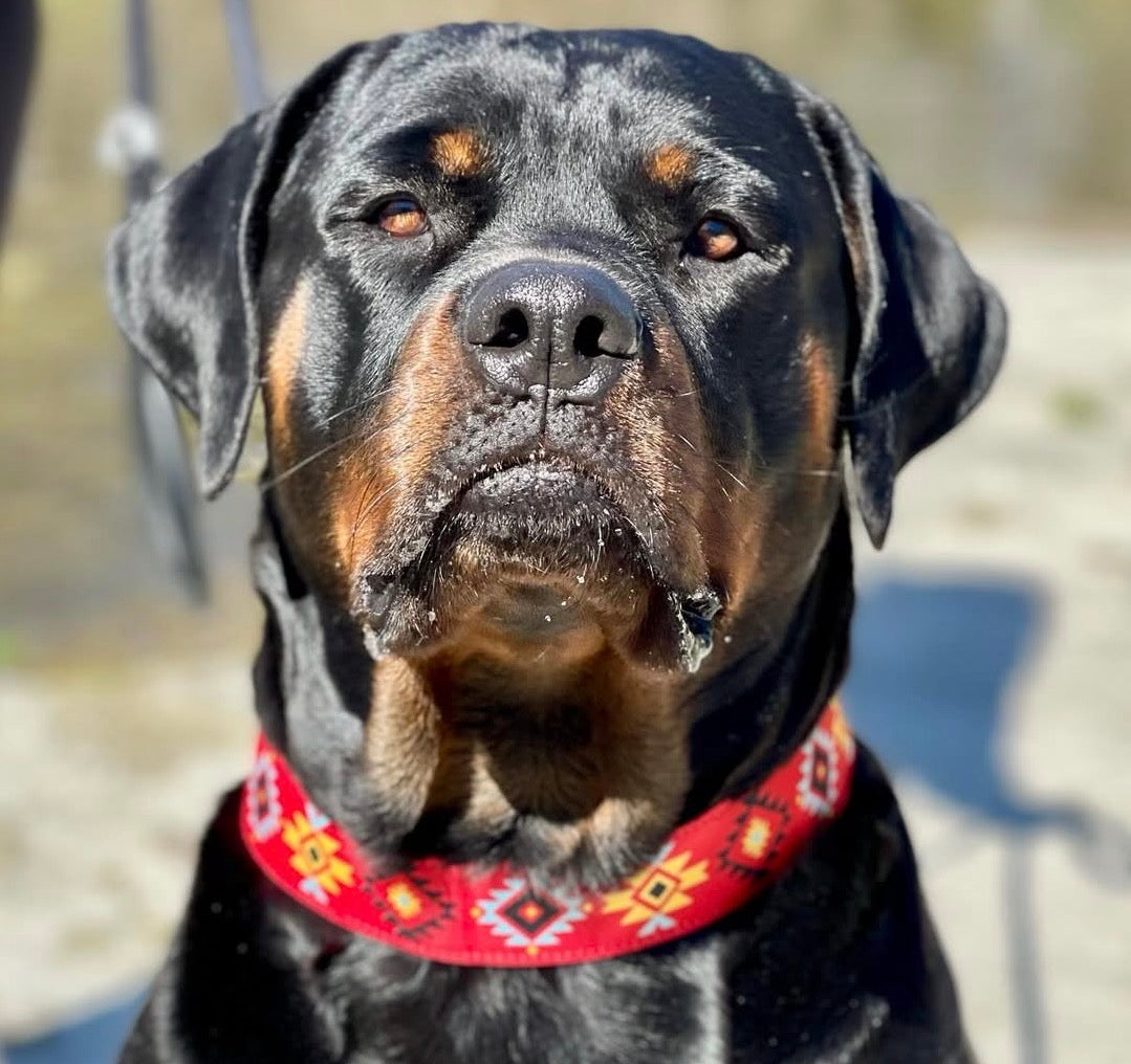 Aztec Dog Collars
