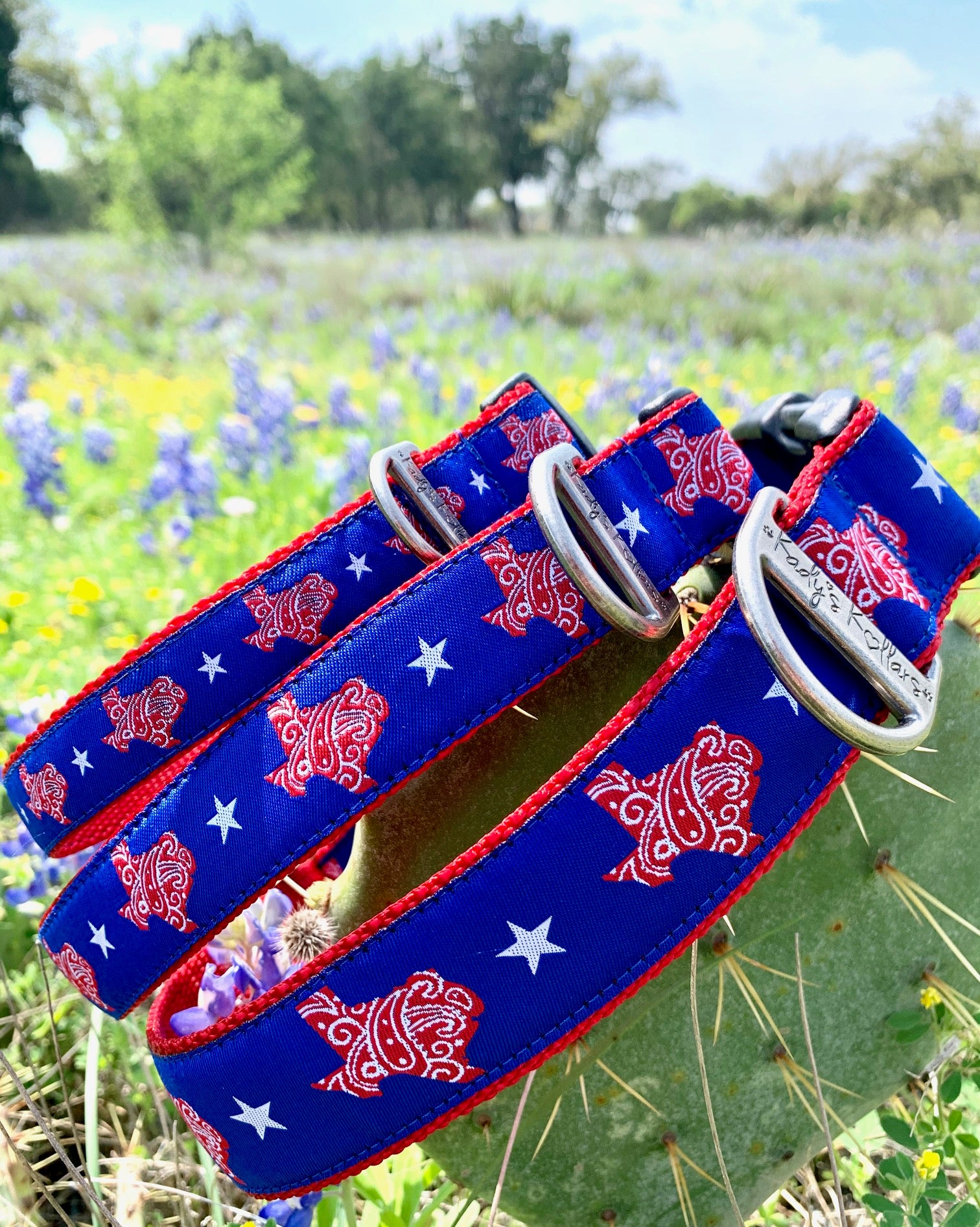 Texas Collars