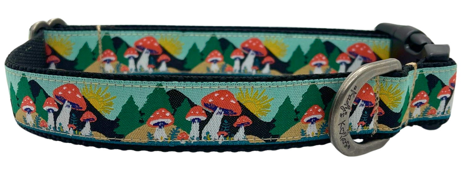 Colorado Dog Collars | Kady’s Kollars