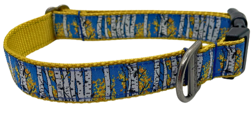 Colorado Dog Collars | Stay Golden | Kady’s Kollars