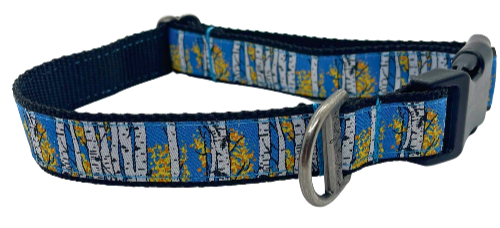Colorado Dog Collars | Stay Golden | Kady’s Kollars