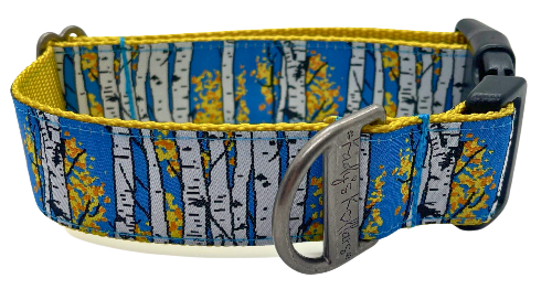 Colorado Dog Collars | Stay Golden | Kady’s Kollars