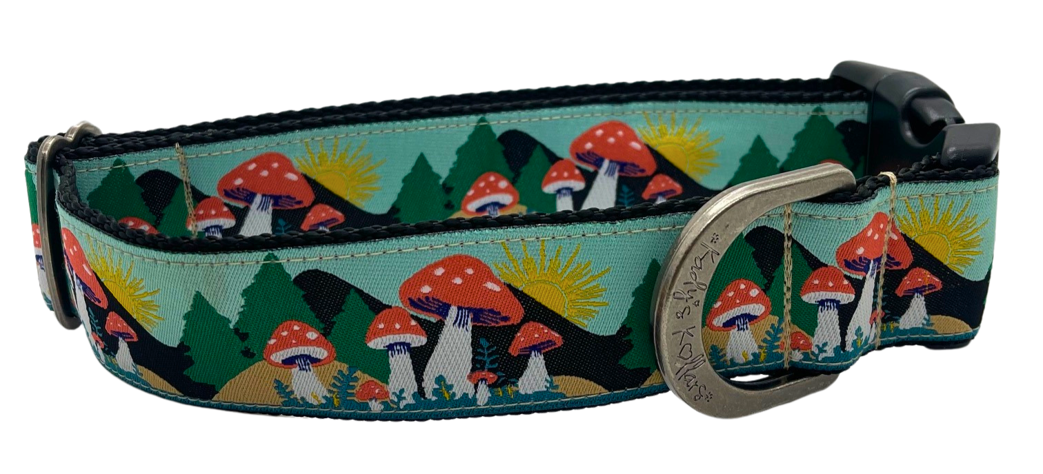 Colorado Dog Collars | Kady’s Kollars