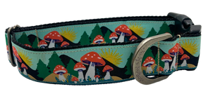 Colorado Dog Collars | Kady’s Kollars