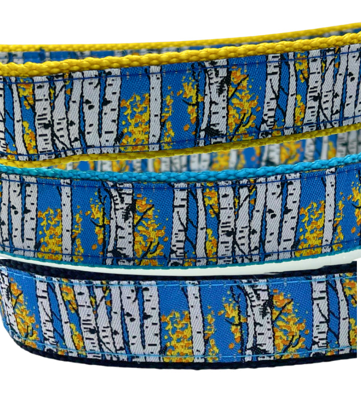 Colorado Dog Collars | Stay Golden | Kady’s Kollars