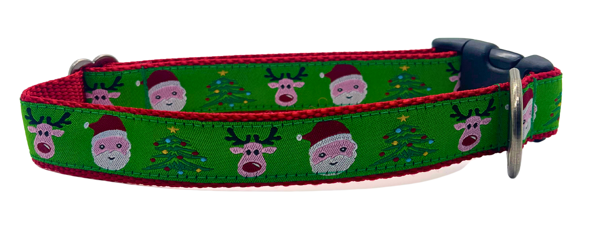 Santa and reindeer