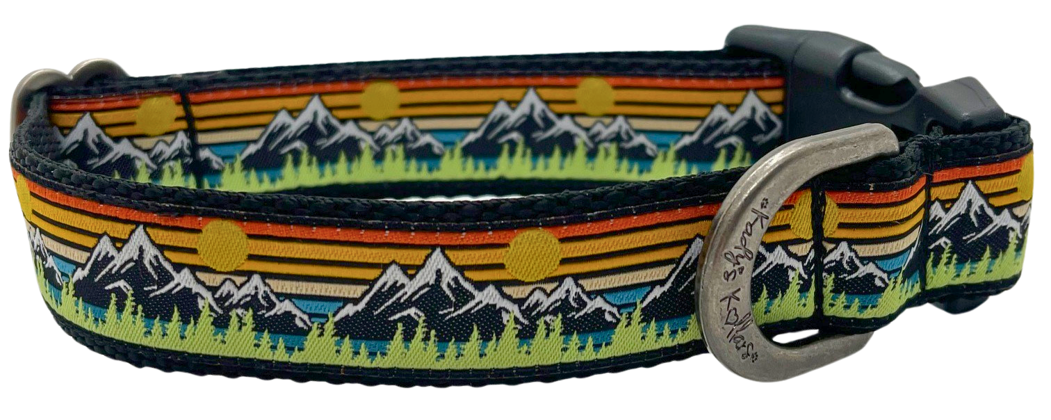 Mountain Dog Collars | Retro Rockies | Kady’s Kollars