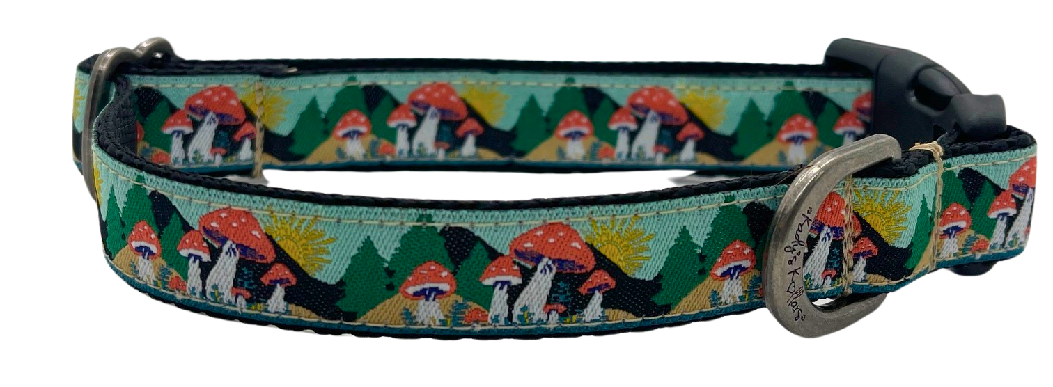 Colorado Dog Collars | Kady’s Kollars