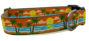 Seaside Sunset l/xl