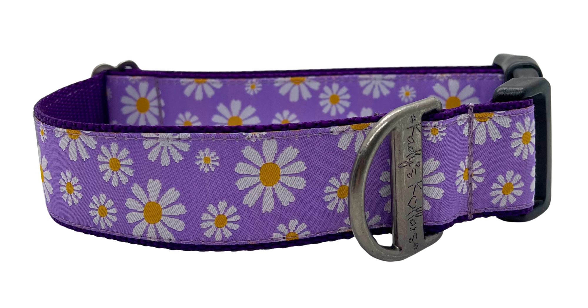 Daisy purple