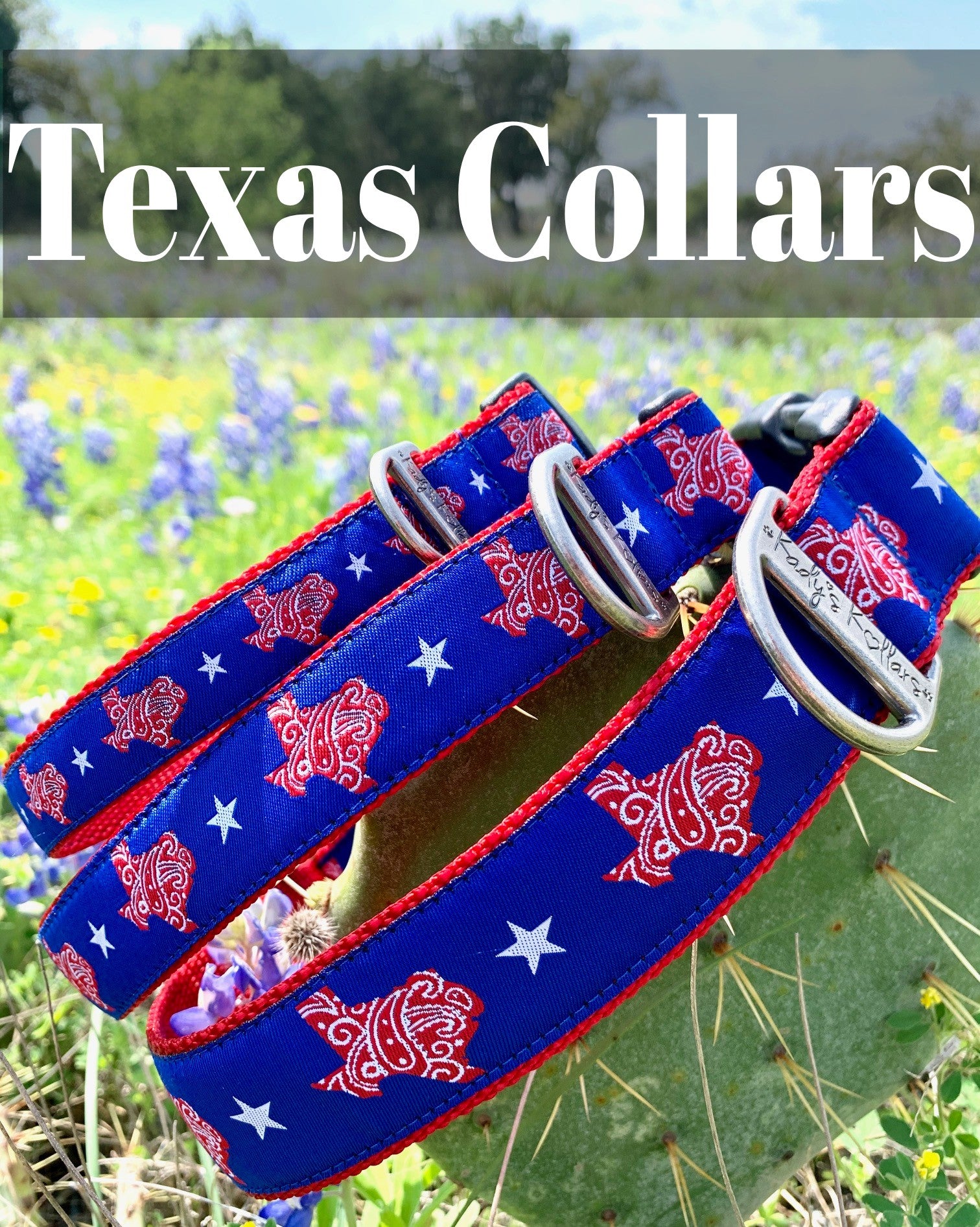 Texas Dog Collars with Style | Kady's Kollars